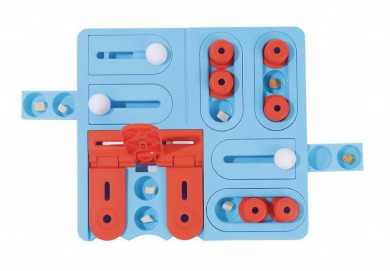 BRAINY GAMES Curie