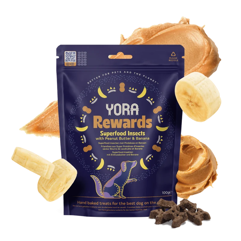 YORA Insectos Snacks con Platano y Mantequilla de cacahuete