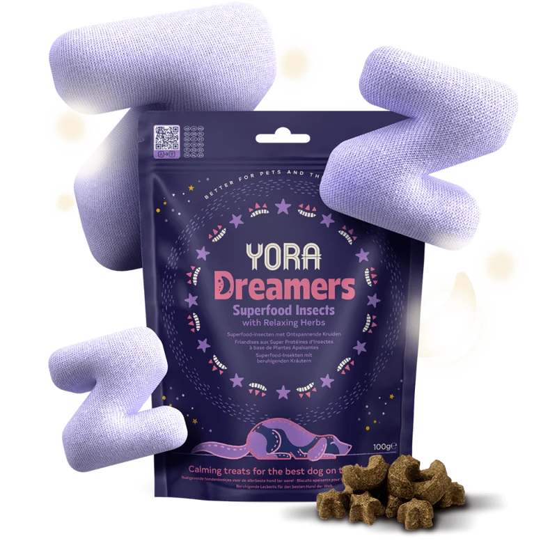 YORA Insectos Snack Dreamers