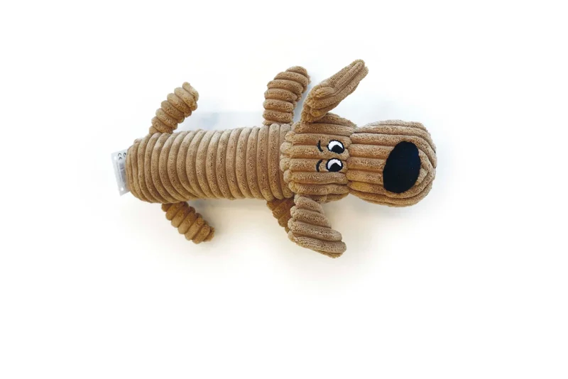 Charly Peluche con Sonido