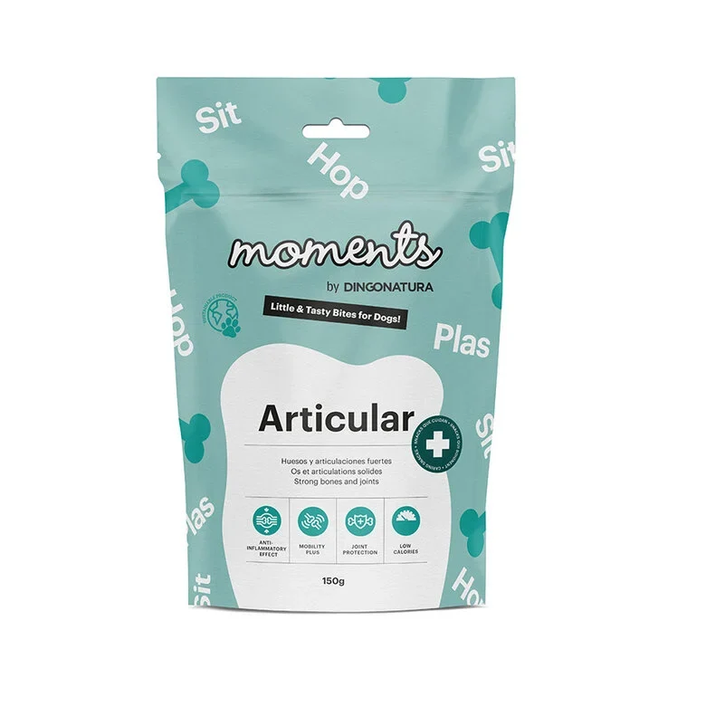 Moments Articular