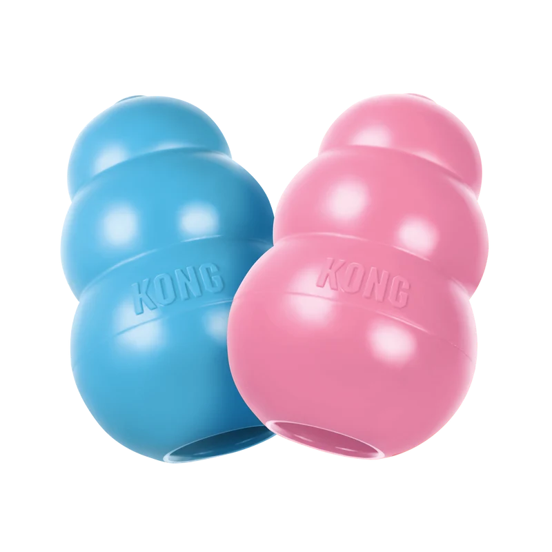 KONG Puppy