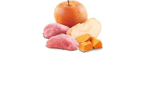 N&D Cat Pumpkin Lata Jabalí y Manzana