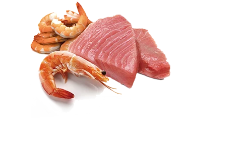N&D Cat Ocean Lata Atún y Gambas