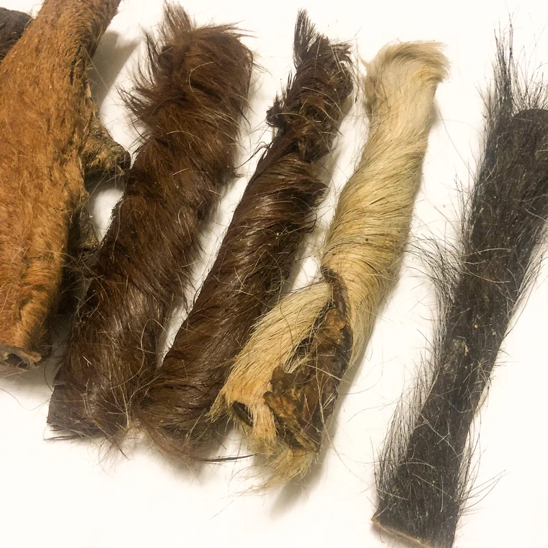 Caravaca de caballo con pelo (10 - 15cm) 100g