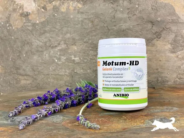 Anibio Motum-HD (con mejillon verde)