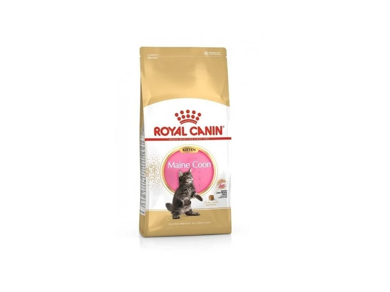 Royal Maine Coon Kitten Comida seca 10kg