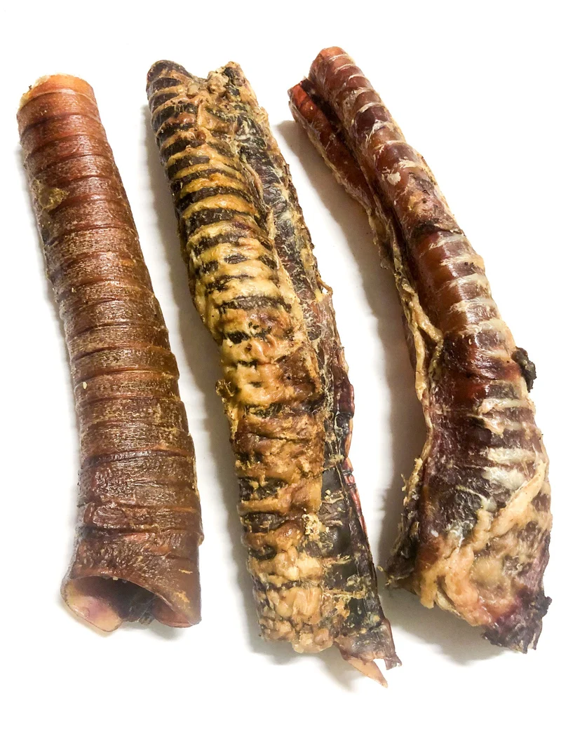 Tráquea de camello (10 - 15cm) 100g