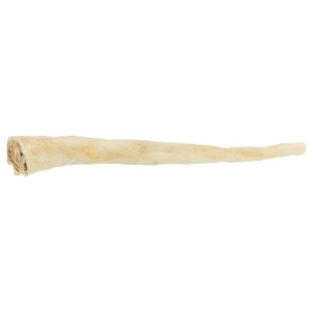 Rabo de búfalo XL (1 ud)
