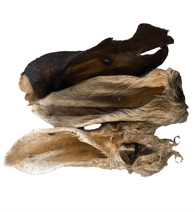 Oreja de cabra con pelo (1 ud)