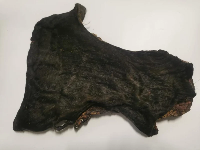 Placa de piel de ternera con pelo (1 ud)