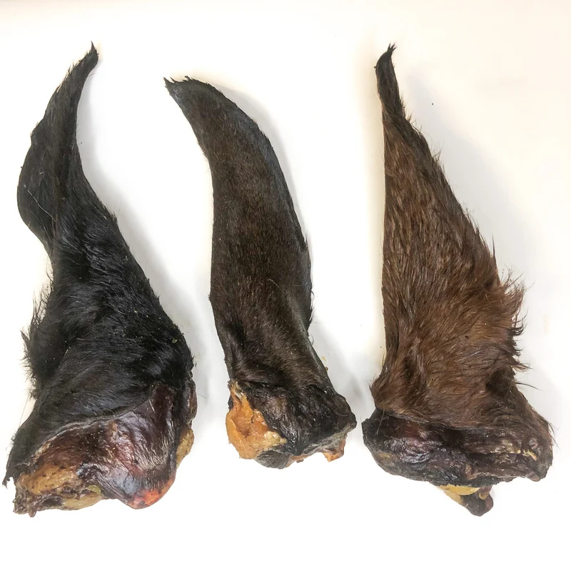 Oreja de caballo con pelo (1 ud)