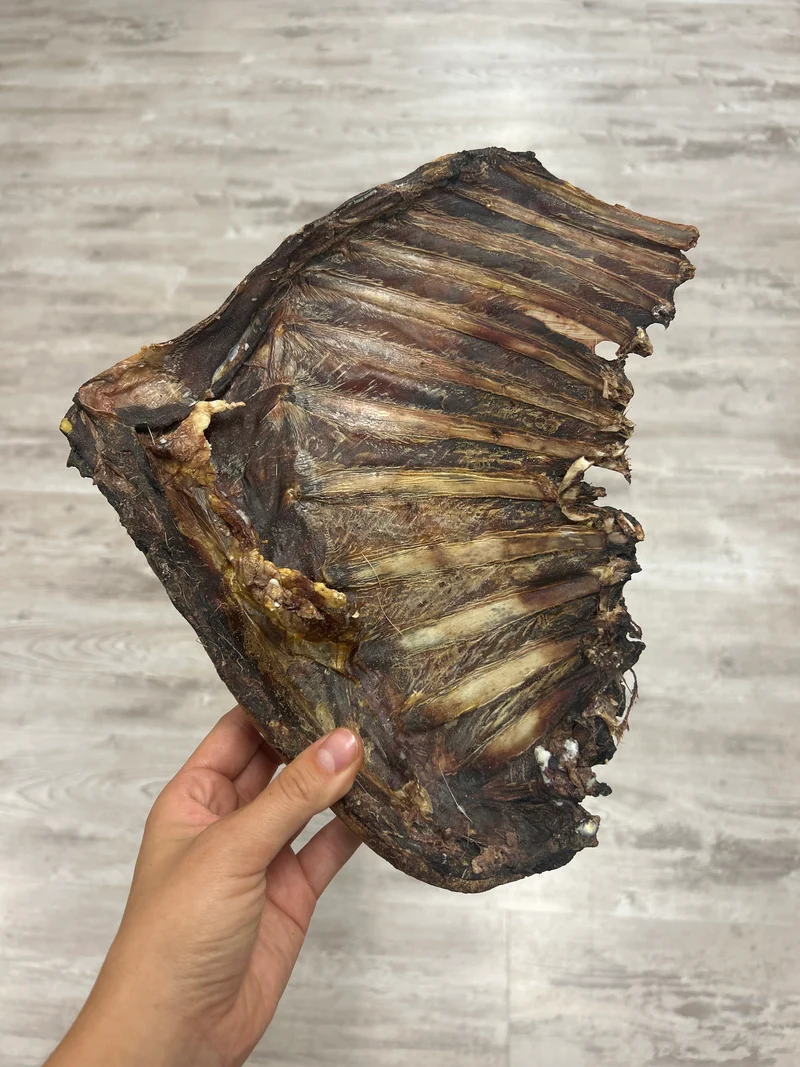 Costillar de ciervo XL (1 ud)