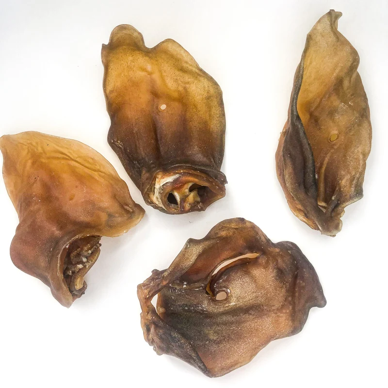 Orejas de oveja sin pelo (1 ud)