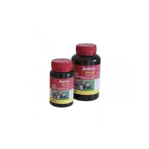 Stangest Anima Strath Suplemento 240 Cpd