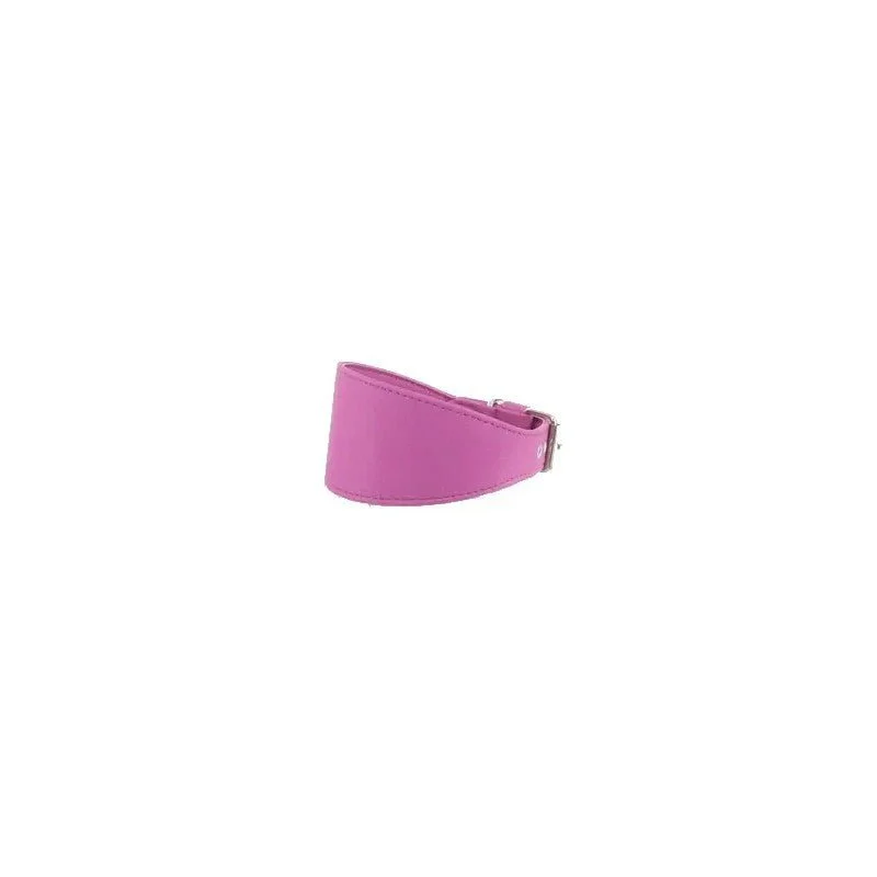 Youpet Collar Elements Galgo Verde Lima 33/38 L450 A60 1un