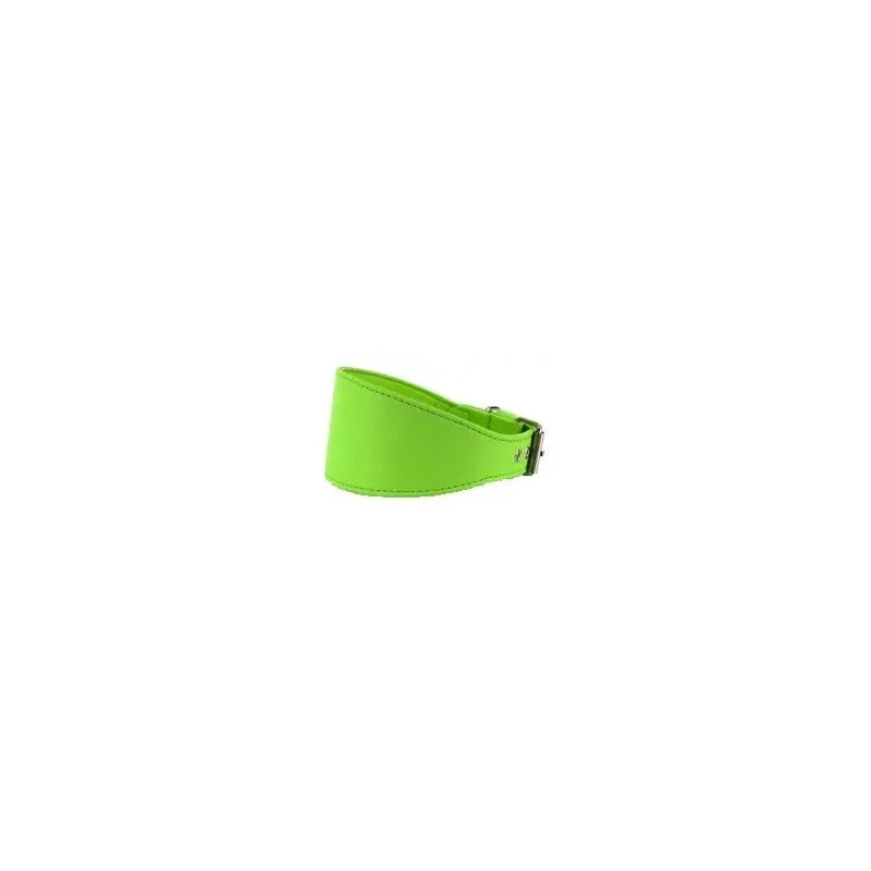 Youpet Collar Elements Galgo Verde 33/38 L450 A60 1un