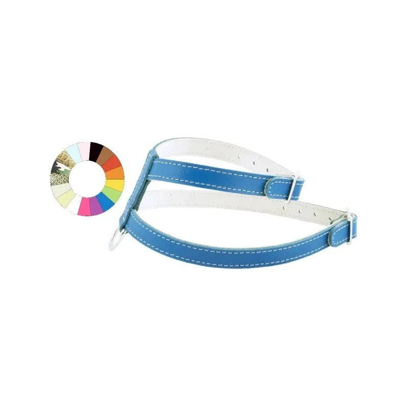 Youpet Arnes Little Oro A22 C450/34-40 P600/49-55 1un