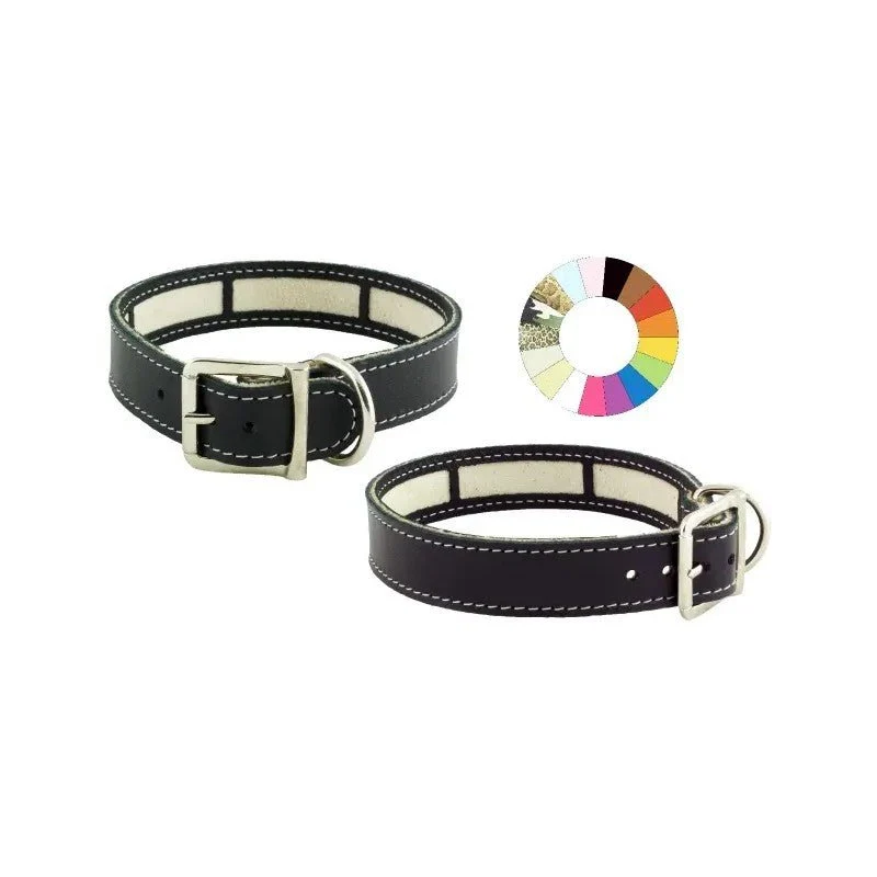 Youpet Collar Little Carrier Verde 19/22 L250 A22 1un