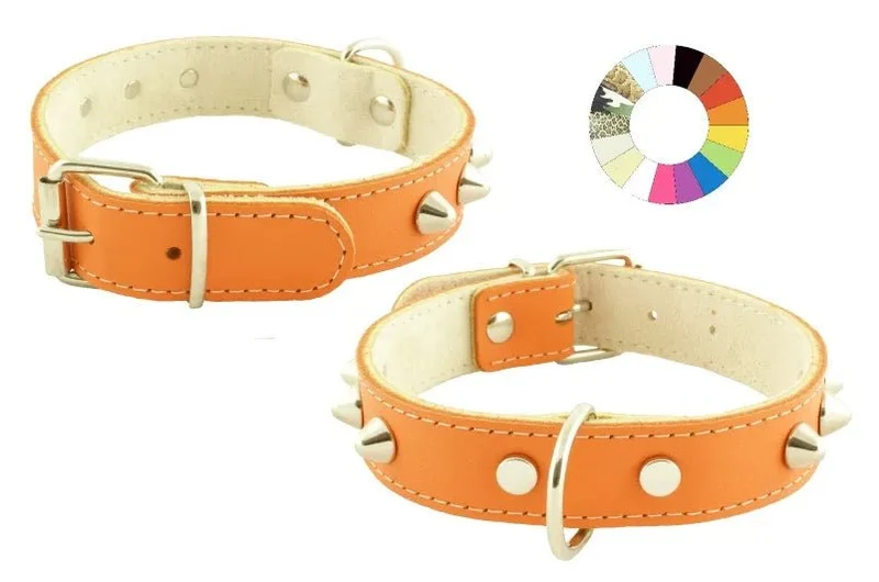 Youpet Collar Mountain Co1F Violeta 30-36 L400 A25 1un