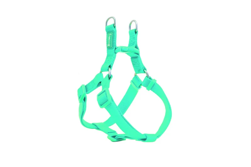 Freedog Arnés Nylon Basic Tipo A Turquesa 1 ud