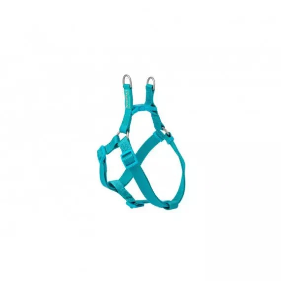 Freedog Arnés Nylon Basic Tipo A Turquesa 1 ud