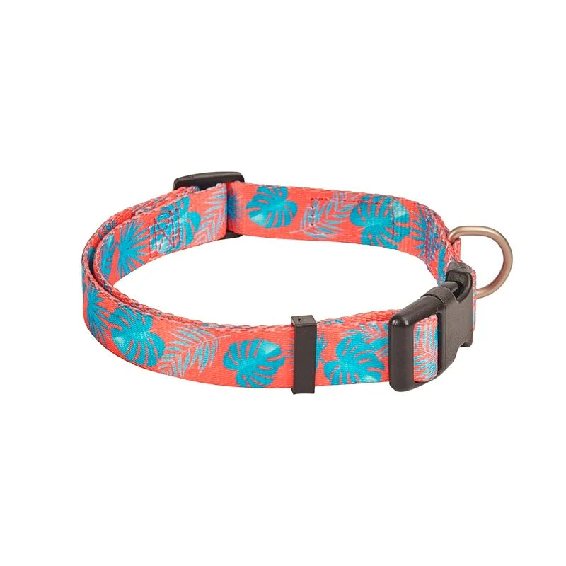 Freedog Tropical Coral Collar T-XS 10mm