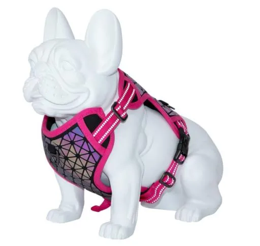 Freedog Arnes Boreal Fucsia para Perros 300g