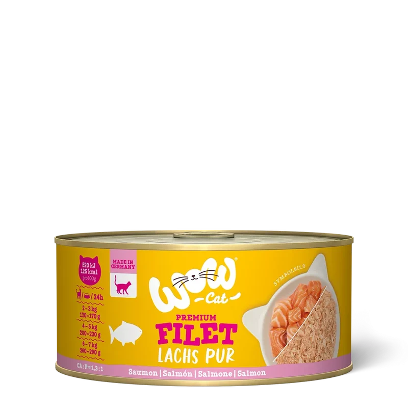 Wow | Cat Filetes de Salmón (70g)