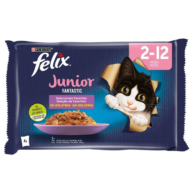 Purina Felix Fantastic Junior 12x(4x85g)