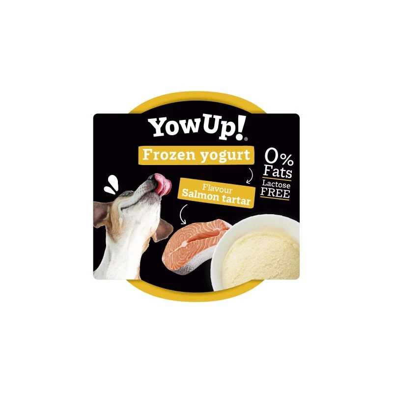 Yow Up Iogurte Congelado de Salmão 110gr