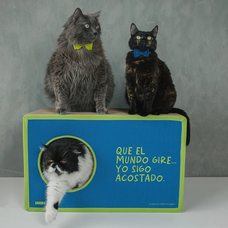 Rasca Cueva - Colección Lo que no callan los gatos