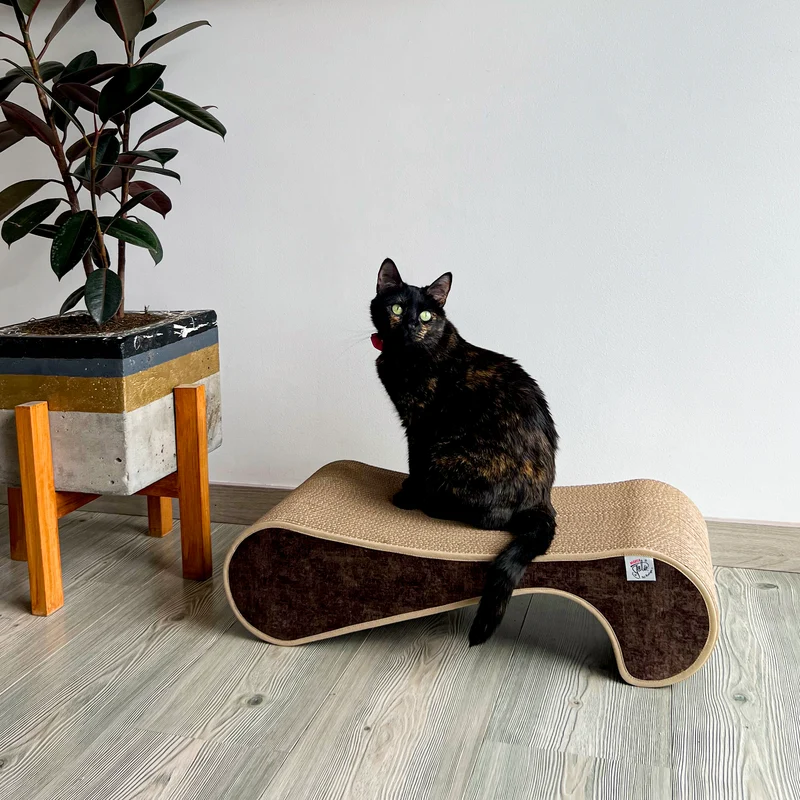 Rascador Pepino