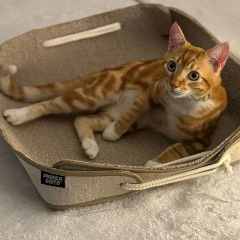 Cama Purrfect Bed