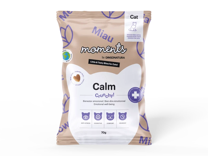 Moments Cat - Calm