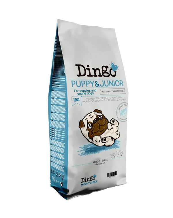 Dingo Puppy & Junior