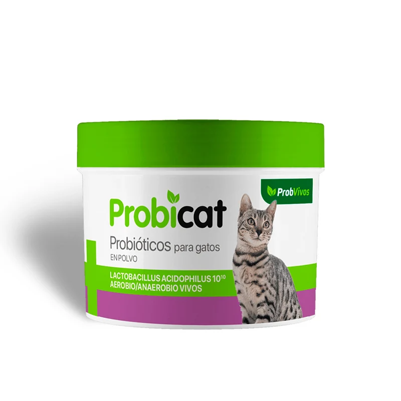 Probicat probióticos para gatos