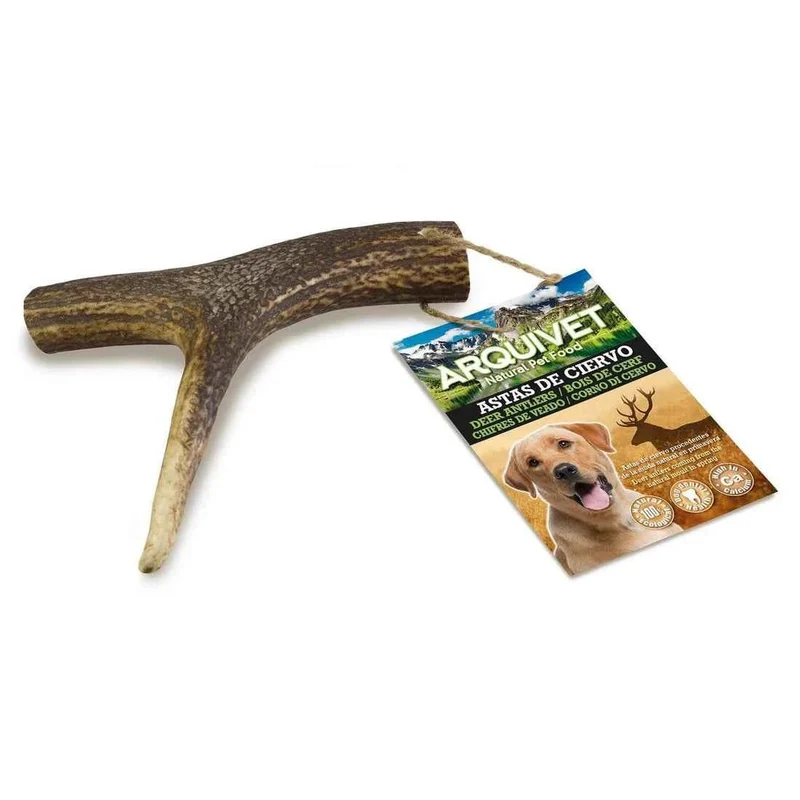 Asta de Ciervo Natural para Perros Grandes – Snack Dental Duradero Talla L