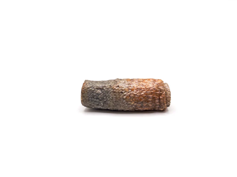 Rollitos de salmón (1 ud)
