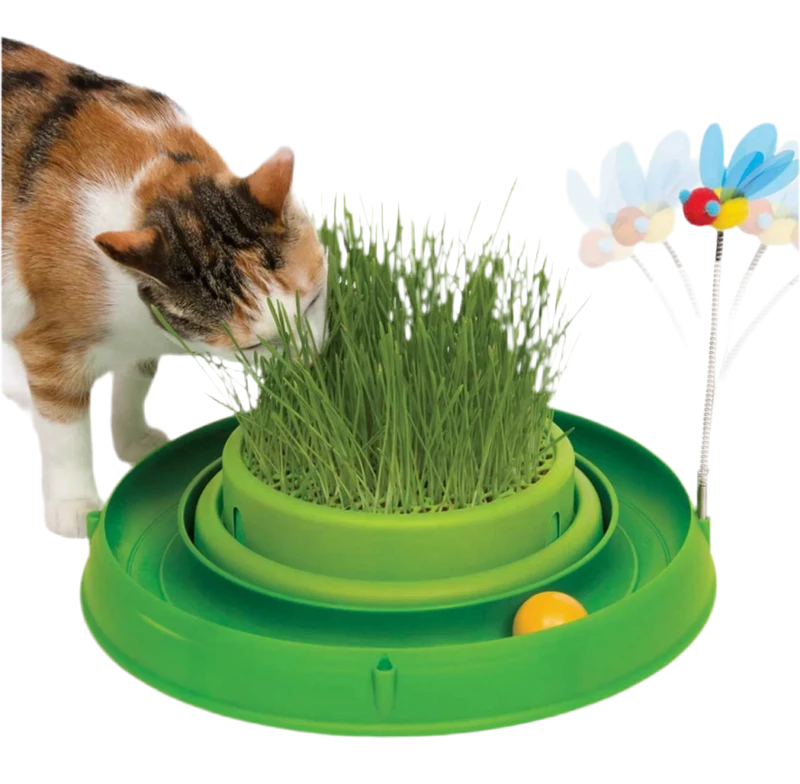 Catit | Circuito con pelota y hierba gatera