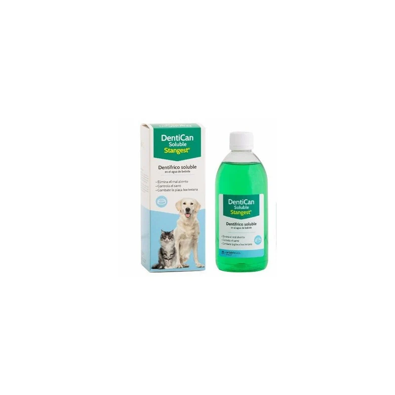 Stangest Dentican Soluble Dentífrico Líquido 250ml