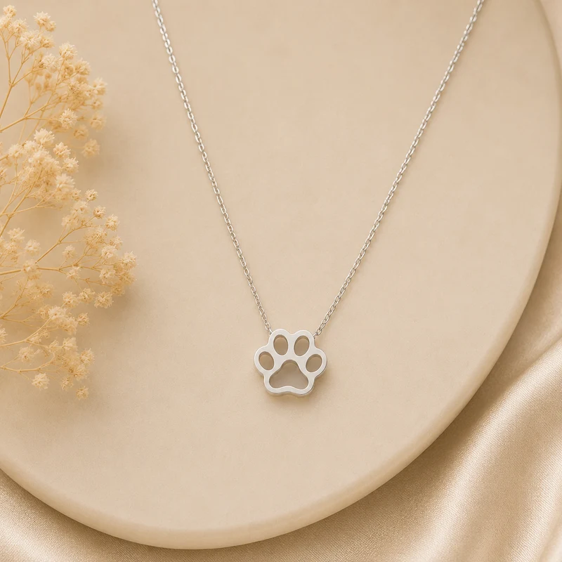 Collar Acero Inoxidable Huella Plateado