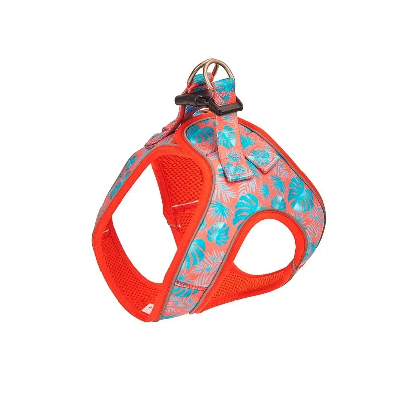 Freedog Arnes Tropical Coral Talla M 400g