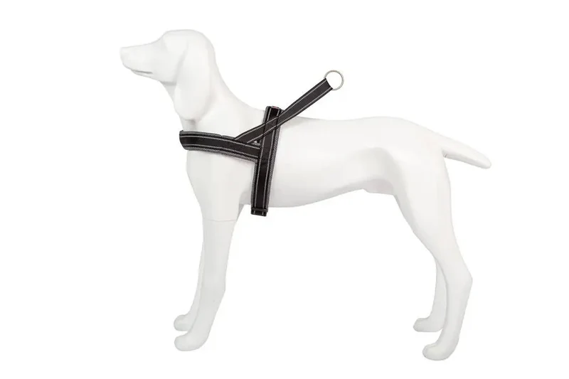Freedog Arnes Shiva Sport Gris 1 ud