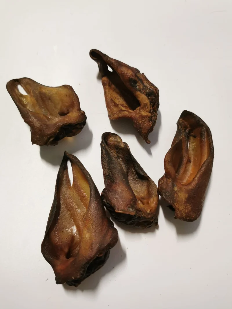 Orejas jabalí (10 ud)