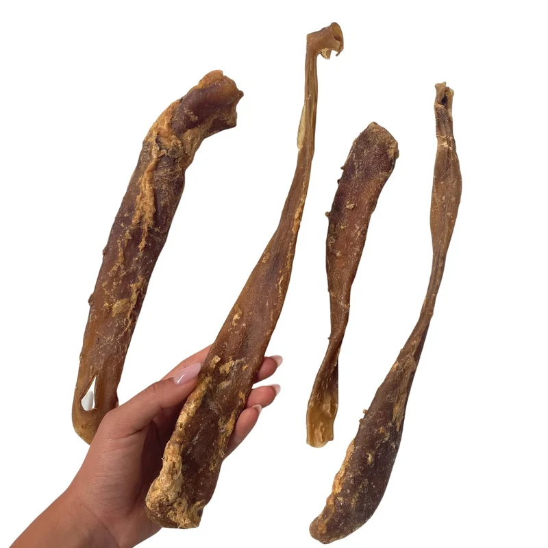 Aorta de caballo (30 - 40cm) 500g