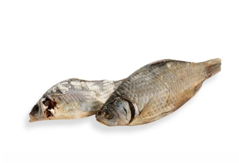 Carpa cruciana 300g