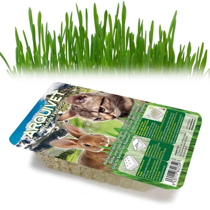 Hierba para Gatos en Bandeja 100 g