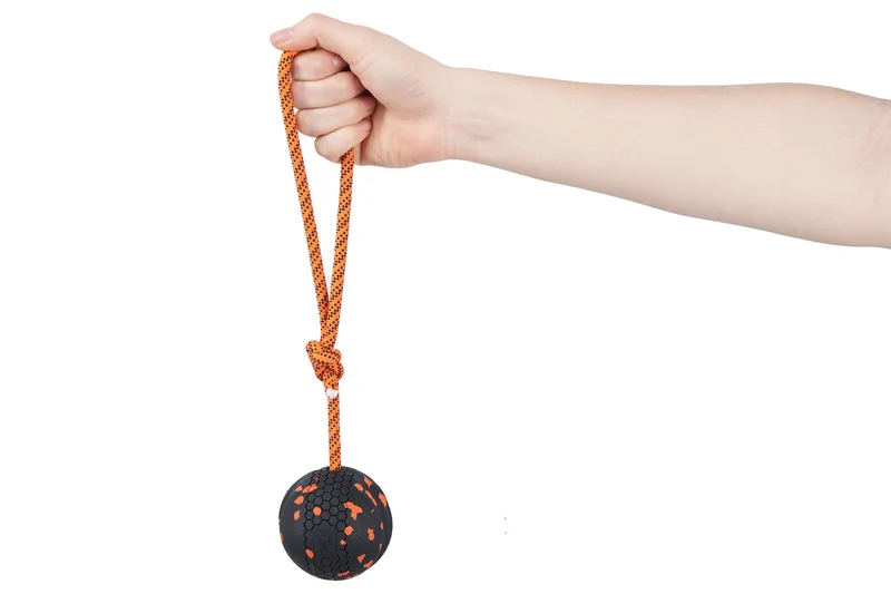 Non stop dogwear - Dog ball on rope