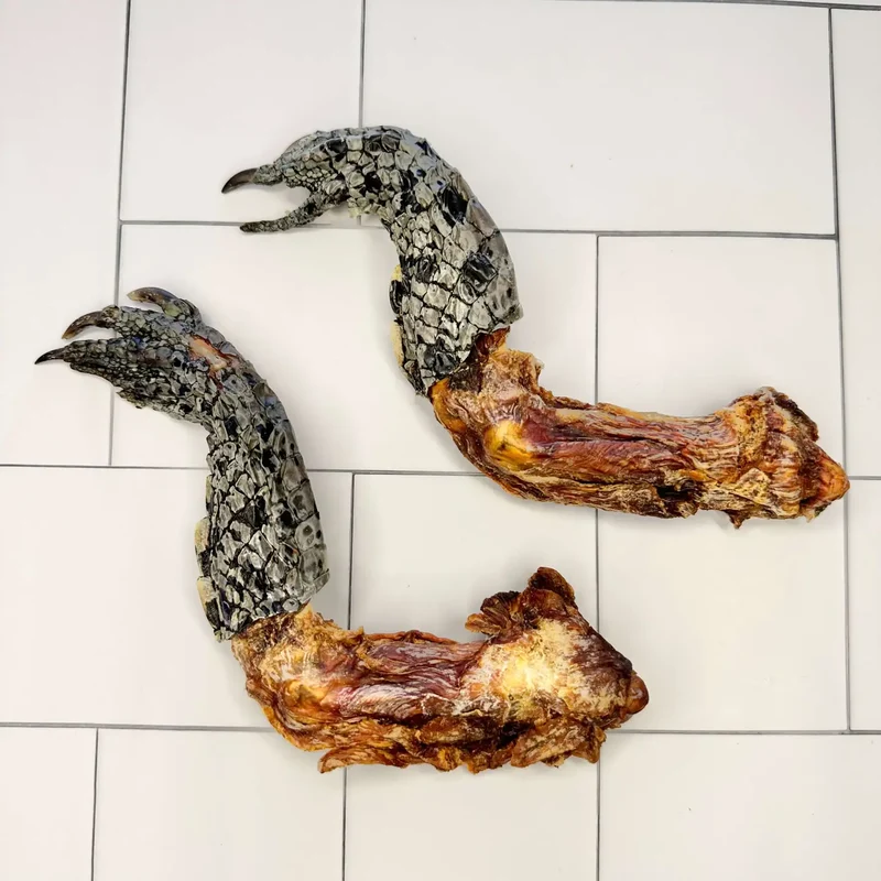 Pata de cocodrilo entera (1 ud)